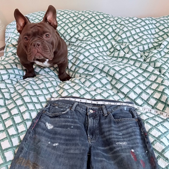 Polo Ralph Lauren Astor Slim Boyfriend painted Crane Jeans distressed 28 EUC - Picture 8 of 8